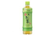 ＜毎月定期便＞おーいお茶　緑茶600ml　48本全3回【4008894】