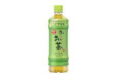 ＜毎月定期便＞おーいお茶　緑茶600ml　48本　全6回【4012853】