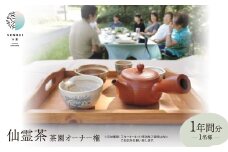 仙霊茶 茶園オーナー権(1年間分)【1469209】