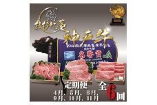 ＜発送月固定定期便＞A5 おおた蔓 神戸牛(神戸ビーフ)　それは選ばれし希少な一頭全6回【4067237】