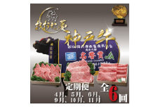 ＜発送月固定定期便＞A5 おおた蔓 神戸牛(神戸ビーフ)　それは選ばれし希少な一頭全6回【4067238】