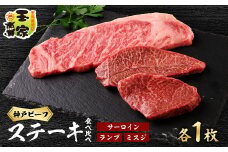 神戸ビーフサーロインステーキ200g　ランプ、ミスジステーキ100g各1枚　兵庫県産【1131675】