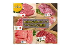 ＜毎月定期便＞＜神戸牛＞6品スペシャル定期便　冷凍 全6回【4009476】