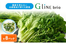 G Line brio レタス8パックセット【1121142】