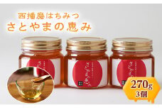 西播磨はちみつ　さとやまの恵み　270g×3本セット【1243961】