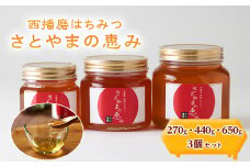 西播磨はちみつ　さとやまの恵み　270g・440g・650g 3本セット【1243970】