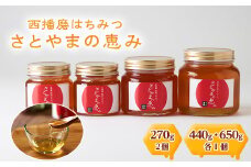 西播磨はちみつ　さとやまの恵み　270g2本・440g1本・650g1本 合計4本セット【1244057】