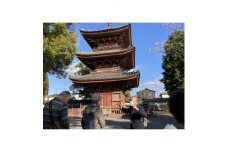 斑鳩寺参拝と七色ブレスレット作りSサイズ8mm＜体験チケット＞【1293654】