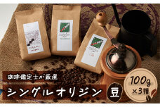 シングルオリジン＜豆＞　3種セット　100g×3種【1409260】