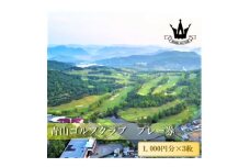 ゴルフ場利用クーポン(3,000円分)【1428556】