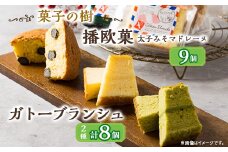 播欧菓～太子みそマドレーヌ～とガトーブランジュ詰め合わせ【1494499】