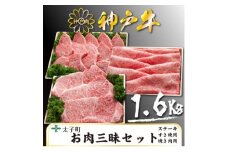 神戸牛　TSLS10　お肉三昧セット　合計　1600g【1509937】