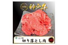 訳あり神戸牛　TSS1　切り落とし肉　500g【1509904】