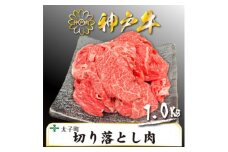 訳あり神戸牛　TSS2S　切り落とし肉　500g×2【1509906】