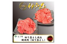 訳あり神戸牛　TSSY2S　切り落とし・焼肉(不揃い)　500gずつセット【1509908】