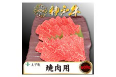 神戸牛　TSY2　焼肉用　600g【1509909】