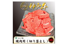 訳あり神戸牛　TSY1　焼肉用(切り落とし)　500g【1509911】