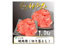 訳あり神戸牛　TSY2S　焼肉用(切り落とし)　500g×2【1509919】