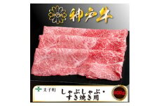 神戸牛　TSS2　すき焼き・しゃぶしゃぶ用　600g【1509922】