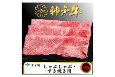 神戸牛　TSS2　すき焼き・しゃぶしゃぶ用　600g【1509922】