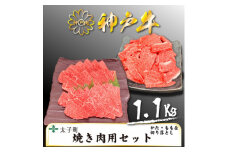 神戸牛　TSY3　焼肉用・焼肉用(切り落とし)セット　合計1100g【1509925】