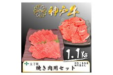 神戸牛　TSY3　焼肉用・焼肉用(切り落とし)セット　合計1100g【1509925】