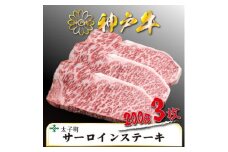 神戸牛　TSST5　ロースステーキ　200g×3枚　合計　600g【1509928】