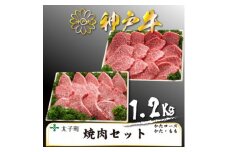 神戸牛　TSYS5　焼肉用セット　合計　1200g【1509934】