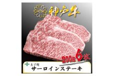 神戸牛　TSST10　ロースステーキ　200g×6枚　合計1200g【1509936】