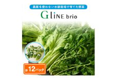 ＜毎月定期便＞G Line brio レタス12パックセット全2回【4056842】