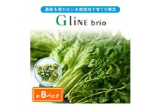 ＜毎月定期便＞G Line brio レタス8パックセット全6回【4056839】