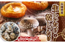 生しいたけ120g×5袋・乾しいたけ30g×6袋(ﾎｰﾙ3袋・ｽﾗｲｽ3袋)  | 兵庫県 上郡町 しいたけ 椎茸 きのこ 茸