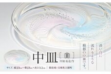 中皿 (白) 　川原有造作 | 兵庫県 上郡町 鉢 ガラス 硝子