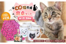 【配り用・家族用】猫のマグカップ4個、ミニタオル4個、にゃんこの箸置き | マグカップ タオル 箸置き ネコ 猫 陶器 兵庫県 上郡町