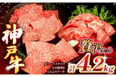 神戸牛贅沢セットA 4.2kg(牛脂付き) Ι 神戸牛 牛肉 お肉 肉 にく モモ ロース スライス 牛脂 ステーキ ジューシー 神戸ビーフ セット 兵庫県 上郡町