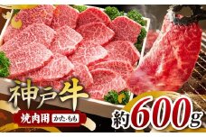 KGY2 訳あり 神戸牛 焼肉用 600g | 訳あり 焼肉 やきにく バーベキュー 肉 にく 霜降り 牛肉 神戸牛 兵庫県 上郡町