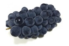 朝取りニューベリーA2kg ( 3～5房 ) | フルーツ 果物 くだもの ブルーベリー 朝取り  兵庫県 上郡町