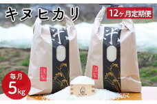 【12ヵ月定期便】兵庫県佐用町産 お米 5kg×12ヵ月（計60kg）キヌヒカリ 精米