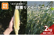 ]季節限定 甘さに自信あり 朝獲りスイートコーン2kg（5～6本）/糖度15度以上/