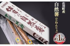 佐用町産 自然薯（じねんじょ）約1kg