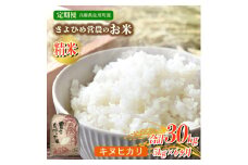 【6ヵ月定期便】兵庫県佐用町産 お米 5kg×6ヵ月 (計30kg) 精米 キヌヒカリ