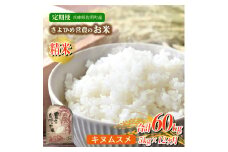 【12ヵ月定期便】兵庫県佐用町産 お米 5kg×12ヵ月 (計60kg)  精米 キヌムスメ