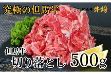 【但馬牛 切り落とし500g 冷凍 産地直送】発送目安：入金確認後1ヶ月程度 配送日の指定はできません。日本の黒毛和牛のルーツは香美町にあり 但馬牛は神戸牛、仙台牛、飛騨牛のルーツ牛です 大人気 ふるさと納税 牛肉 ステーキ しゃぶしゃぶ すき焼き 焼肉 ブランド 和牛 兵庫県 但馬 神戸 香美町 村岡 但馬牛専門店 牛将 10000円 02-02