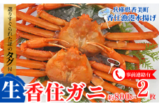 【先行予約】【香住ガニ（生）大 タグ付き 約800g×2枚 冷蔵】令和7年11月以降、カニの水揚げ次第順次発送予定 漁協から配送日調整の電話が入ります タグ付きの立派なカニを自信を持って提供いたします 甘みが強い かに カニ 蟹 香住がに 紅ずわいがに ベニズワイガニ 脚 爪 身 ほぐし むき身 かにすき 鍋 大人気 ふるさと納税 おすすめ 兵庫 香美 香住 遊魚館 50000円 03-07