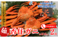 タグ付きの香住ガニ。 甘くてみずみずしい香住の味をご堪能ください。
茹でてあります。お届け後すぐにお召し上がりいただけます。