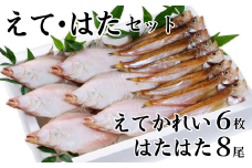 【干物 えてかれい、はたはたセット エテカレイ6枚 ハタハタ8尾 干物の本場 香住産 冷凍】発送目安：入金確認後、順次発送いたします。いずれも脂のりの良い旬の時期のものだけを厳選して一夜干ししました。伝統の「まぶり塩」製法で丁寧に仕上げたハタハタと手作業で作った人気のエテカレイ、どちらも自慢の逸品です。BBQ ふるさと納税 大人気 香美町 香住 柴山 山陰 蔵平水産 14000円 08-01