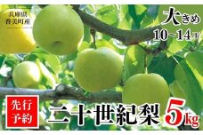 【先行予約】【梨 20世紀梨 香住梨 5kg 秀品（Aランク）大きめ（1玉350g～500gを10～14玉）】8月下旬～9月中旬までにお届け 二十世紀梨 シャキシャキの食感 ほどよい甘さとみずみずしさ 香美町で育つ香住梨 フルーツ 果物 贈答品 ギフト なし ナシ 和梨 青梨 大人気 ふるさと納税 おすすめ 返礼品 ランキング 兵庫県 香美町 香住 JAたじま 16000円 12-05