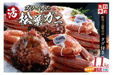 【先行予約】【松葉ガニ 最高グレード 香住産 タグ付き 活 生 松葉がに 約1.1kg 数量限定 冷蔵】R7.11月中旬以降順次発送 12月～1月中旬は発送不可 カニの本場 香住の選りすぐり カニ かに 番がに 新鮮 国産 刺身 しゃぶしゃぶ  鍋 カニ鍋 かにすき 脚 足 爪 身 肩 ランキング 大人気  兵庫県 香美町 香住 柴山 柴山港 ズワイガニ 日本海フーズ 120000円 07-06