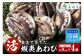香住で育てた養殖あわびです。
香住の綺麗な海で、栄養豊かな昆布を作り、昆布をえさに、美味しいあわびを育てています。