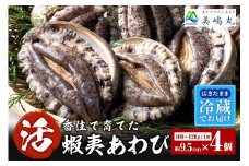 【冷蔵 活あわび 養殖 9.5cm×4枚 400g～480g (1個100～120g）】新鮮 発送目安：入金確認後1ヶ月以内 日本海 香住で育てた養殖あわびです。昆布を食べて育つ美味しいアワビをお届けします！レシピ入り 香美町 香住 山陰 アワビ 鮑 活アワビ 海鮮 お刺身 BBQ あわびのバター焼き 美嶋丸 25000円 20-03